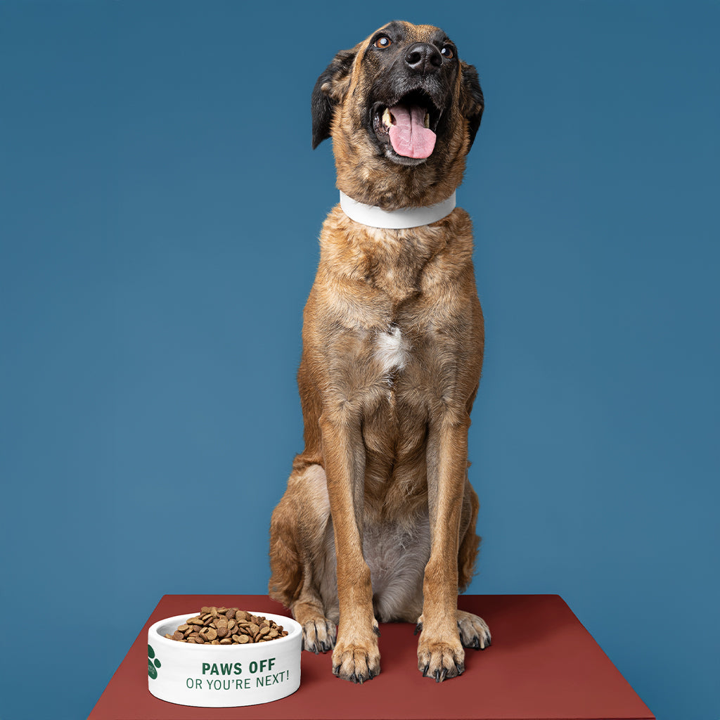 Paws Off – Ceramic Dog Bowl (18cm)