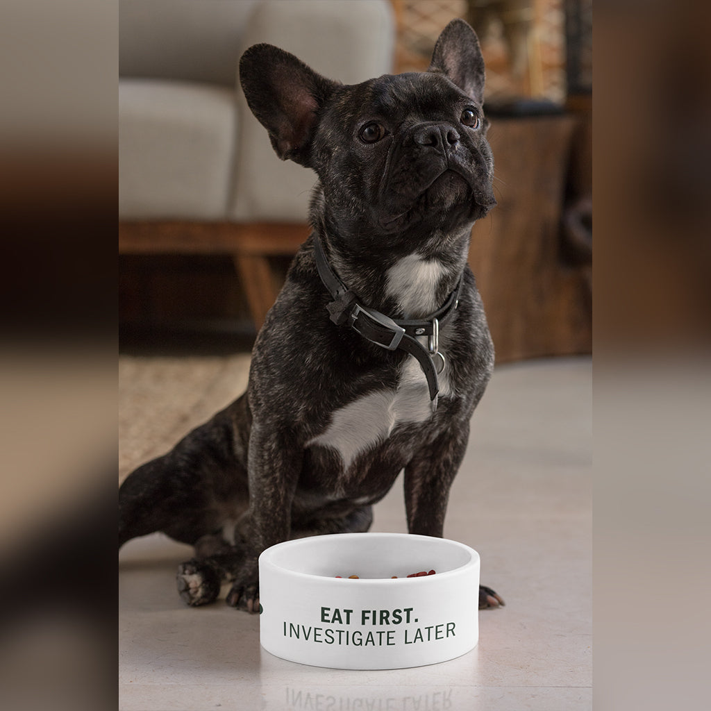 Eat First – Ceramic Dog Bowl (18cm)