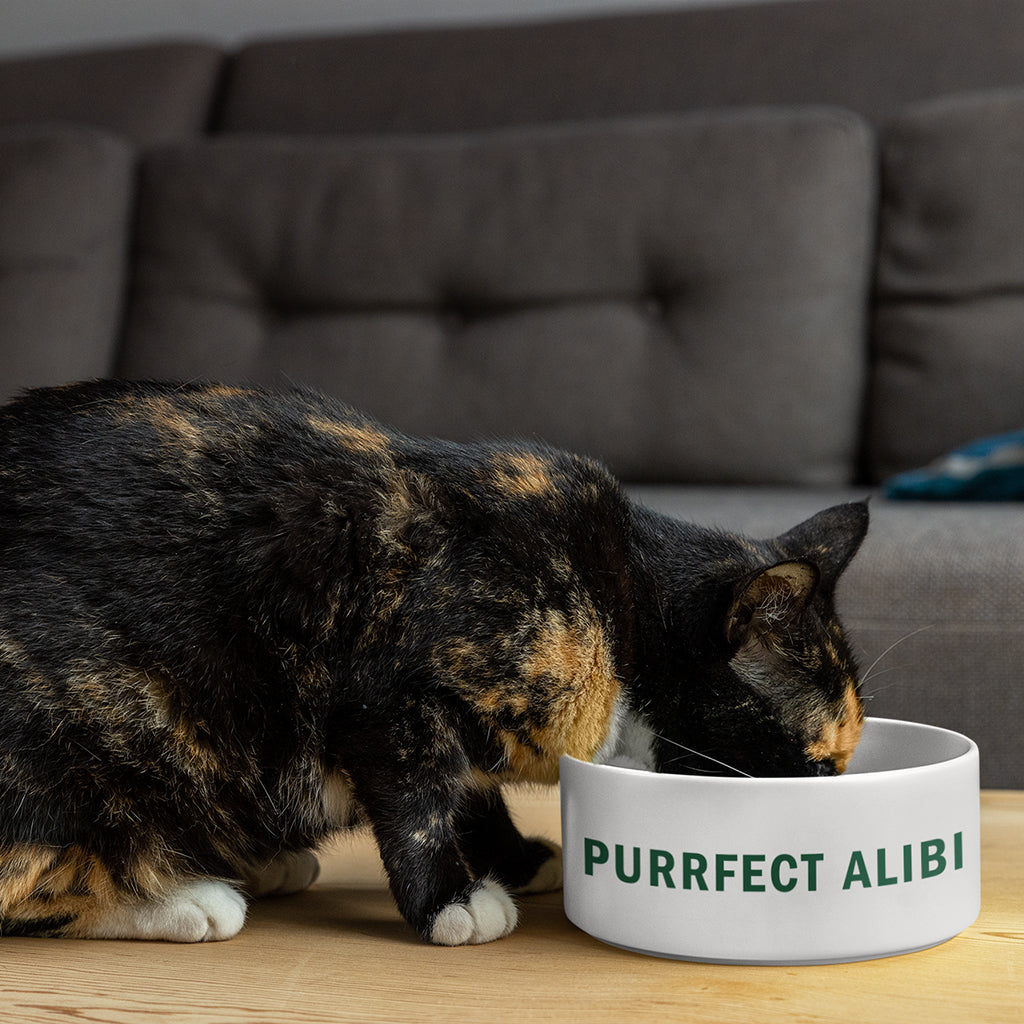 Purrfect Alibi – Ceramic Pet Bowl (15cm)